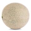 Cantaloupe 9-15/CASE