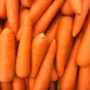Carrot Jumbo Fresh  Lb