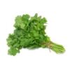 Cilantro 30CT/CASE