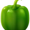 GREEN PEPPER  LB