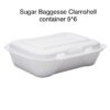 Clamshell Container Sugar Bagasse Compostable and Biodegradable 9*6 250/CASE