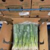 Green onion 2LB*4/case