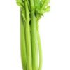 Celery Stalk 24ct/case