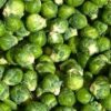 BRUSSEL SPROUTS 25LB/CASE