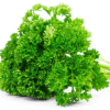 PARSLEY CURLY BUNCH 60CT/CASE