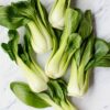 BOKCHOY SHANGHAI MUE 25LB/CASE