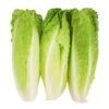 Romaine Hearts Pack