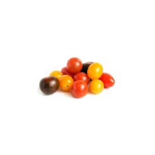 Bgs Wholesale